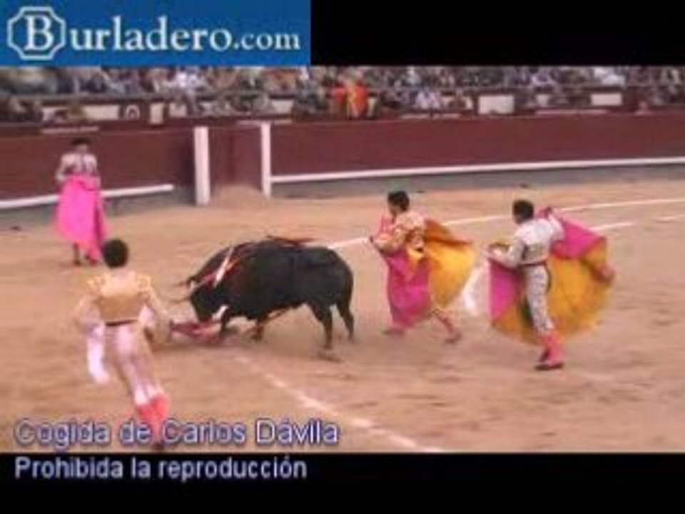Madrid, 8 Junio