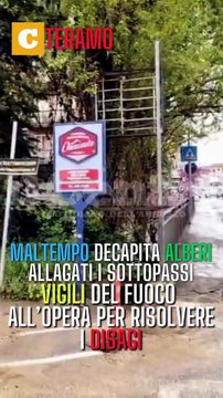 Image from field_mediaid