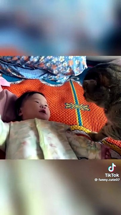 Beschützendes Kätzchen