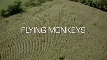 Flying Monkeys Film  Deutsch