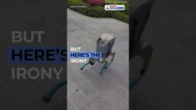 China’s Robot Dog Walker is Peak Irony (The One Thing Dogs Actually Need)