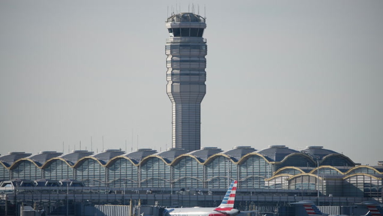 Pilots meow and bark over radio before air traffic control tells them to be ‘professional’