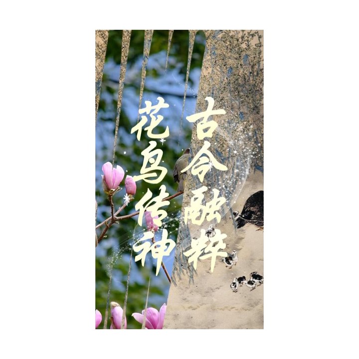 一枝红杏出墙来