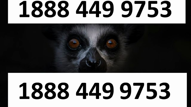 ⁂【Verified】⋉अ ⁂[ ⁂VIPRE aNtIvIrUs® TeCh© SuPpOrT® helpline® Numbers Contact⁂ (247) Live Person Care)