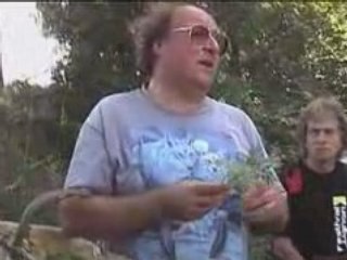 Fée verte et anisette…