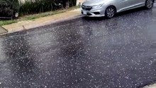 VIDEO | Lluvia inesperada azota el sur de Monterrey con granizo incluido