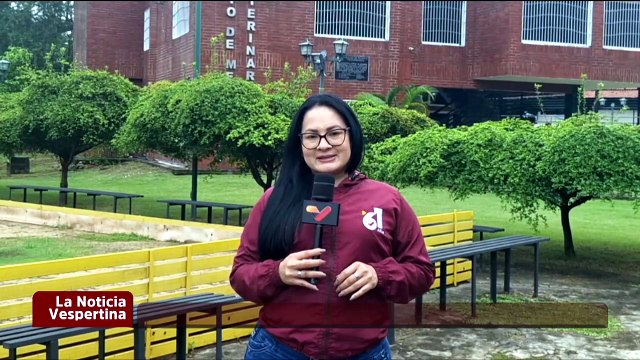 Despliegan el primer ciclo de vacunación contra la fiebre aftosa en el estado Barinas