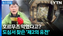 [뉴스모아] 에너지 위기 시대…새로운 해법 등장! / YTN