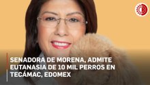 Senadora Mariela Gutiérrez reconoce eutanasia de 10 mil perros durante su gestión en Tecámac
