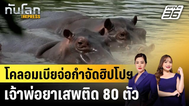 โคลอมเบียจ่อกำจัดฮิปโปฯ เจ้าพ่อยาเสพติด 80 ตัว |ทันโลก EXPRESS | 16 เม.ย. 69