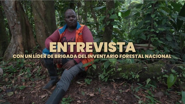 Un líder de brigada del Inventario Forestal Nacional habla sobre su trabajo dentro del proyecto