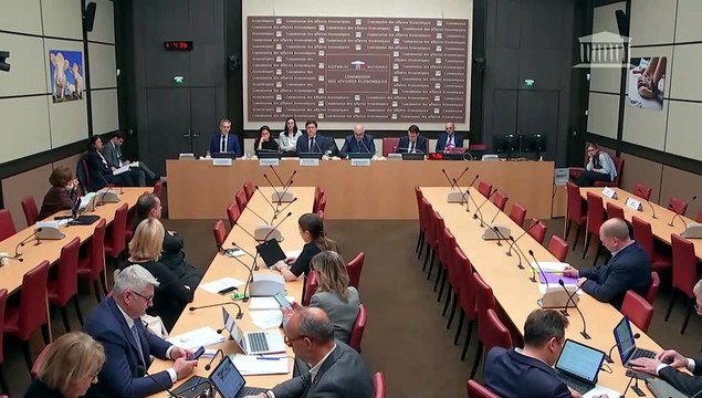 Commission des affaires économiques : Perspectives économiques des constructeurs automobile ; Filière automobile et distribution des véhicules - Mercredi 15 avril 2026