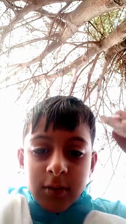 video_awan761