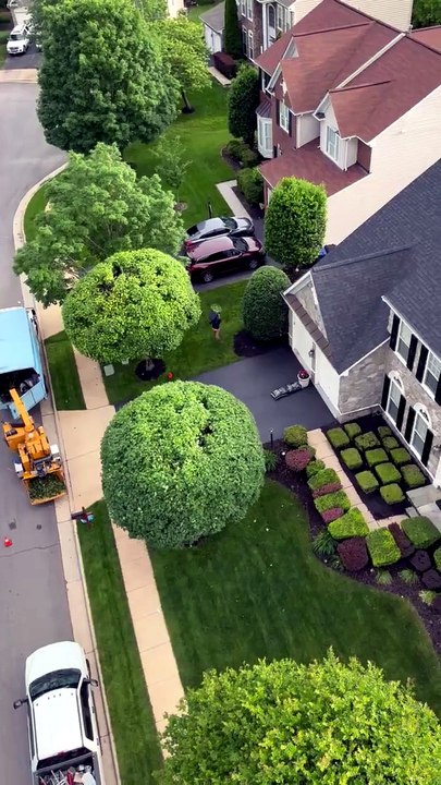 United Tree Services | 571-946-1990