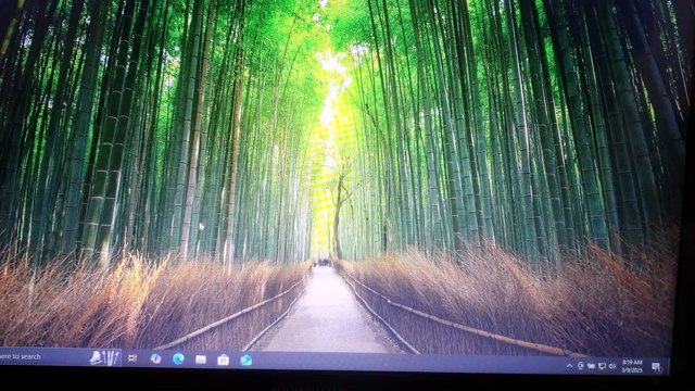 M AYAN SAJID - HOW TO CREATE A LIVE USB ｜ DUAL BOOT WITH WINDOWS ｜ CLEAN INSTALL LINUX MINT ｜ ALL-IN-ONE GUIDE