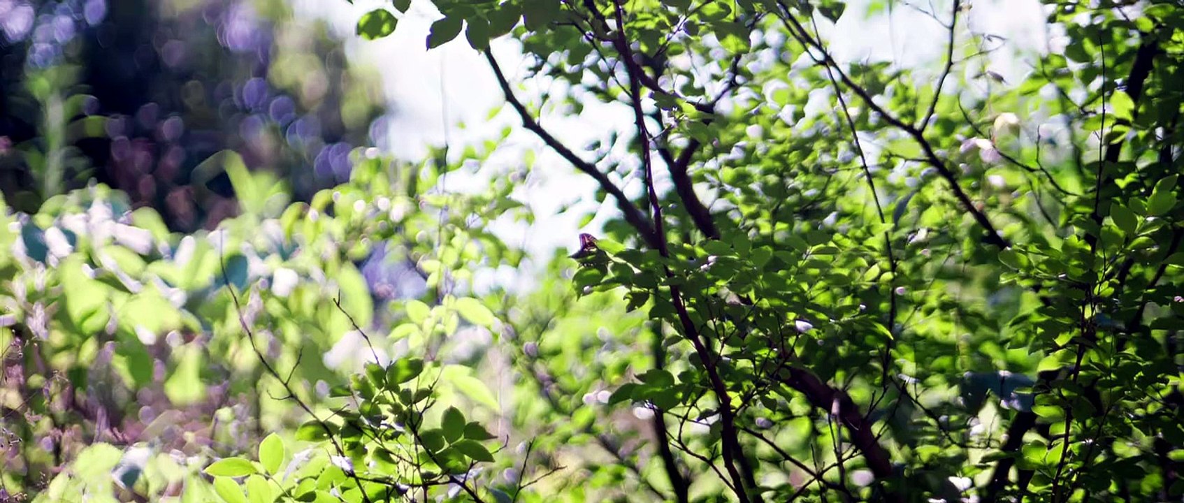 The Moment I Met You Episode 18 | English Sub