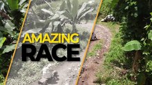 Amazing Earth: Forever pet and amazing race