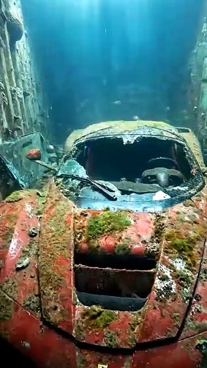 ASMR Ferrari LaFerrari Sunken Container Recovery _ Foam Cleaning _ Full Restoration #carrestoration