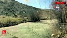 Hakkari’de küçükbaş hayvanlar meralara çıkarıldı