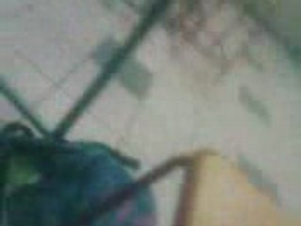 TOOOFF DU PHONE !!7 (28)