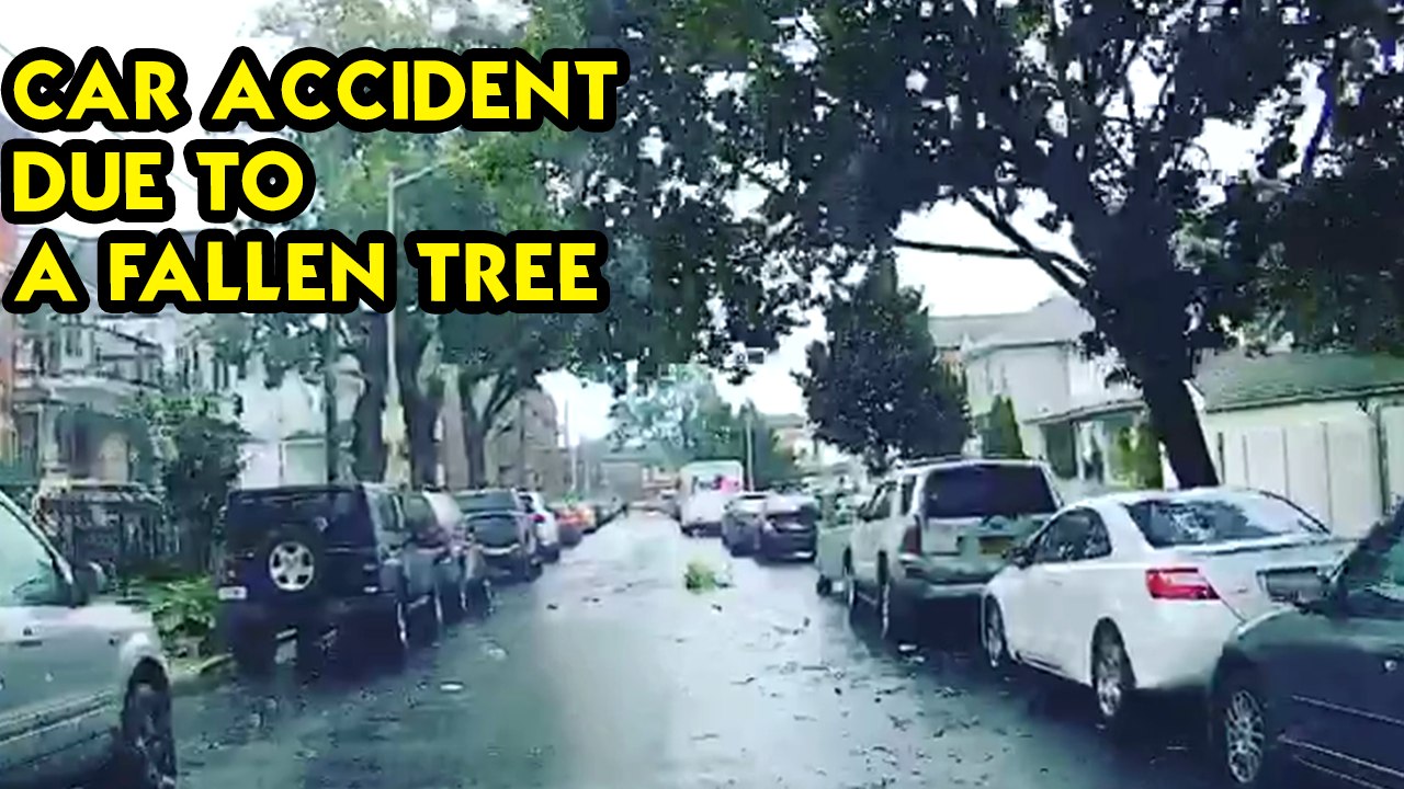 Vehicle Collision Caused by a Downed Tree