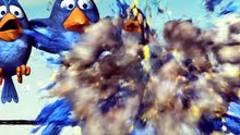 Bro couldn't handle the sourness 😭🍋💀 (3D Funny Animation) #talkingbirds