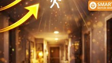 Motion Sensor Ceiling Light Rechargeable