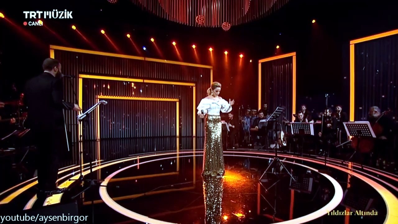 Ayşen Birgör - Yorgunum Dostlarım