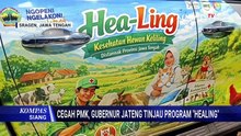 Gubernur Jateng Tinjau Pelaksanaan Program Healing Pada Hewan Ternak untuk Cegah PMK