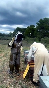 Véronique Jannot en pleine initiation à l'apiculture.