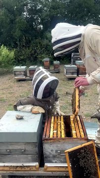 Véronique Jannot en pleine initiation à l'apiculture