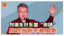 刘镇东：东盟别再各自为政 建议马新汶印“出多点钱” 改革秘书长制