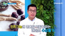 뇌의 해마를 사수하라! 해마 수상돌기의 상태에 따라 뇌의 인지기능이 차이가 있다!?