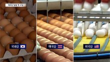 태국산 달걀 첫 수입…주말부터 판매