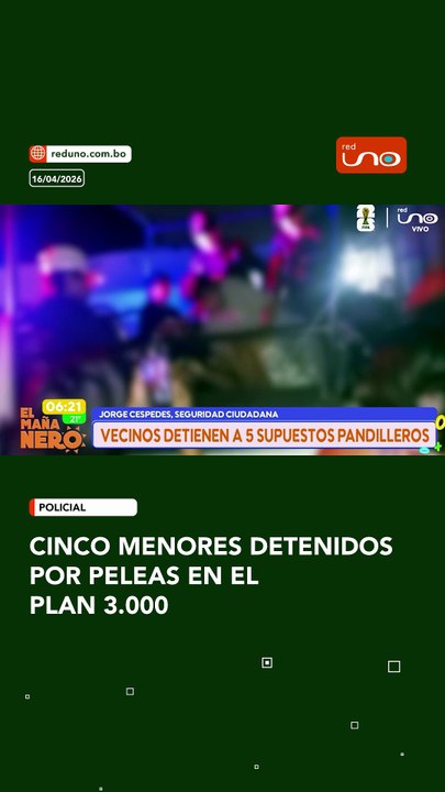 Vecinos detuvieron a cinco menores presuntamente implicados en peleas en la zona del Plan 3.000