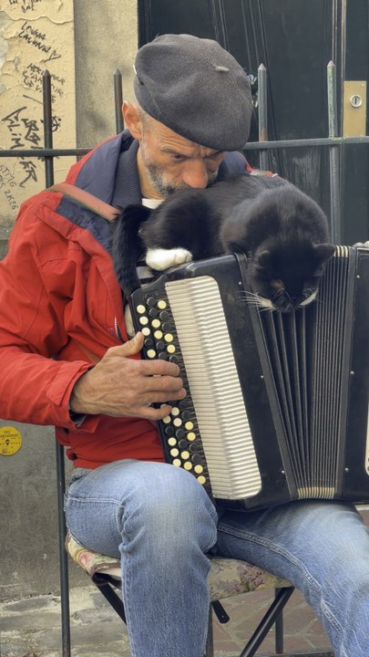 Une scène classique à Montmartre