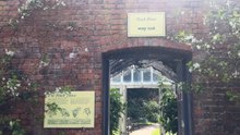 Croxteth Hall plans to secure Liverpool’s historic botanical collection