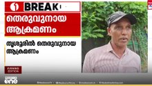 കൂട്ടിൽ കിടന്ന ആട്ടിൻകുട്ടിയെ  തെരുവുനായ്ക്കൾ കടിച്ചുകൊന്നു...