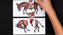 Not everything is as it seems... 🐎