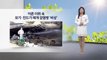 [이슈날씨] 이른 더위 속...모기·진드기 매개 감염병 '비상' / YTN