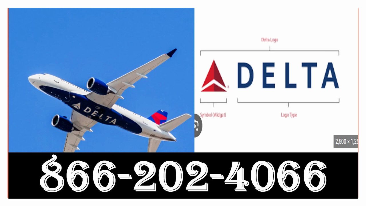 How Much Does Delta Airlines Charge For Baggage