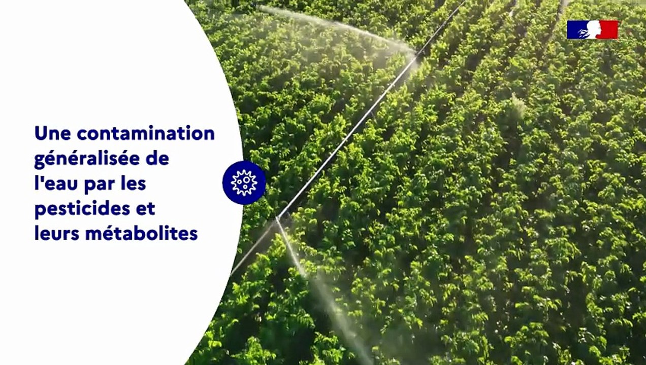 Focus sur… "Prévenir et maîtriser les risques liés à la présence de pesticides et de leurs métabolites dans l’eau destinée à la consommation humaine"