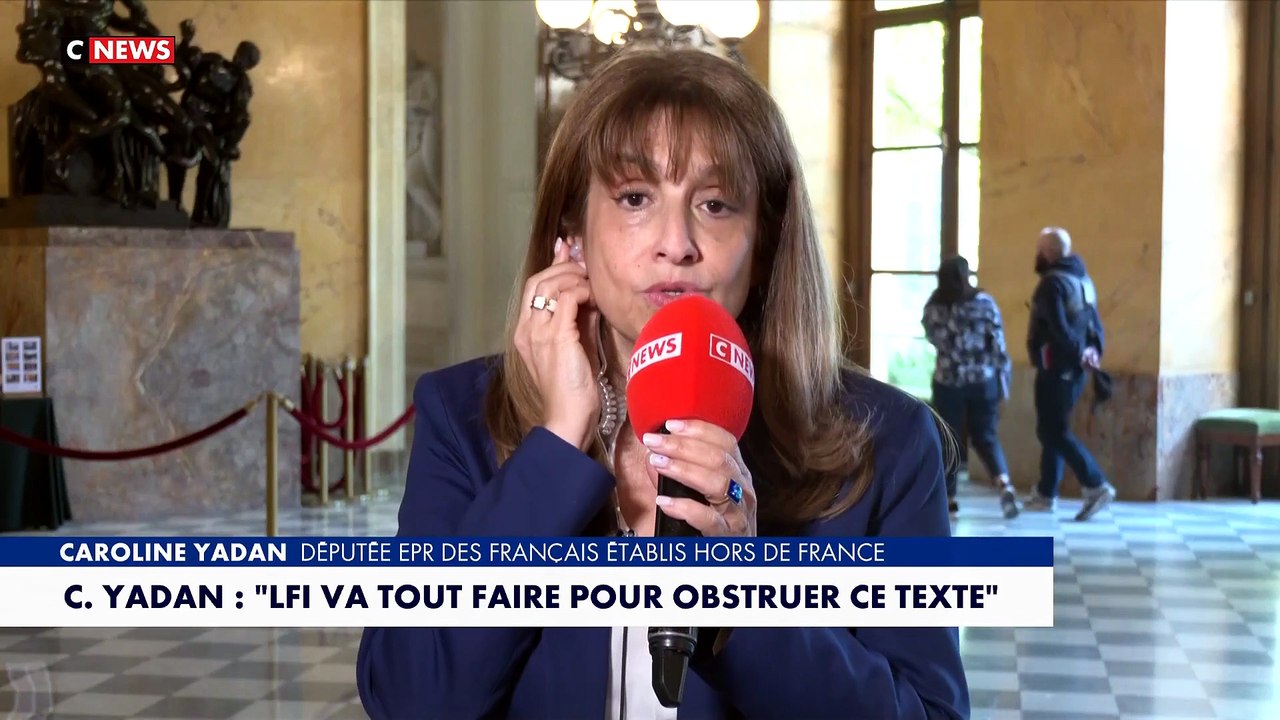 Caroline Yadan : «Toutes les critiques sur cette loi ne sont pas fondées»