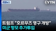 트럼프 "호르무즈 해협 영구 개방"...미군 항모 추가투입 / YTN