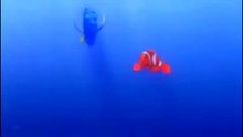 Finding Nemo Full Whale Scene Untitled