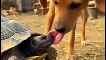 Funny Clip – Unexpected Laugh 😂
