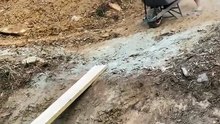 Funny Video Everyone Is Watching