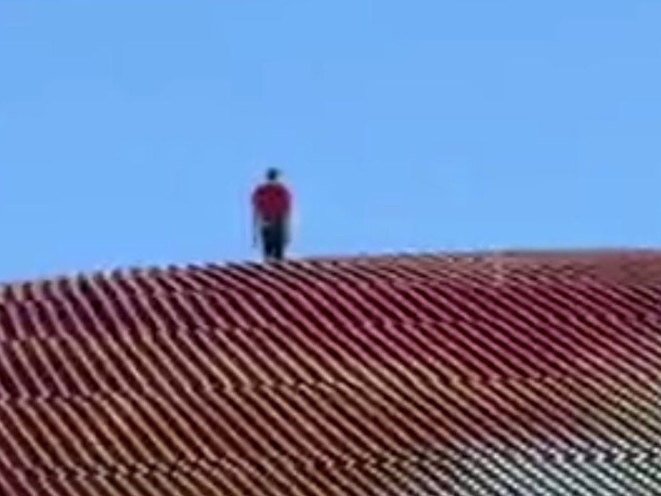 Free-climber alex honnold erklimmt sphere in las vegas