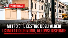 Metro C, Il destino degli alberi. I comitati scrivono, Alfonsi risponde