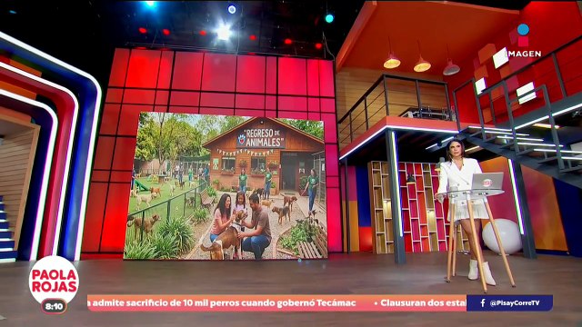 Refugio Franciscano regresa tras denuncia de maltrato animal | DPC con Paola Rojas